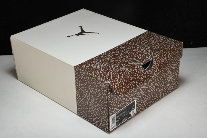 Air Jordan 3 "Palomino" CT8532-102