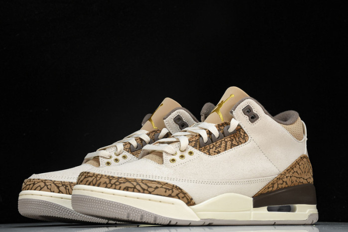 Air Jordan 3 "Palomino" CT8532-102