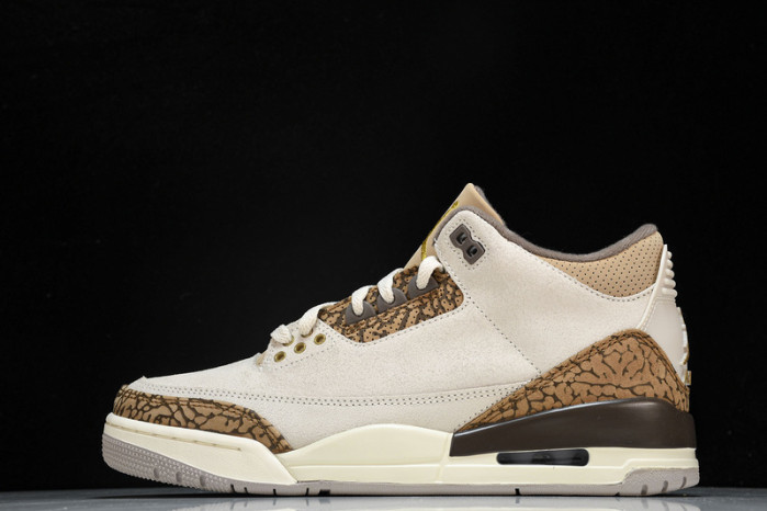 Air Jordan 3 "Palomino" CT8532-102