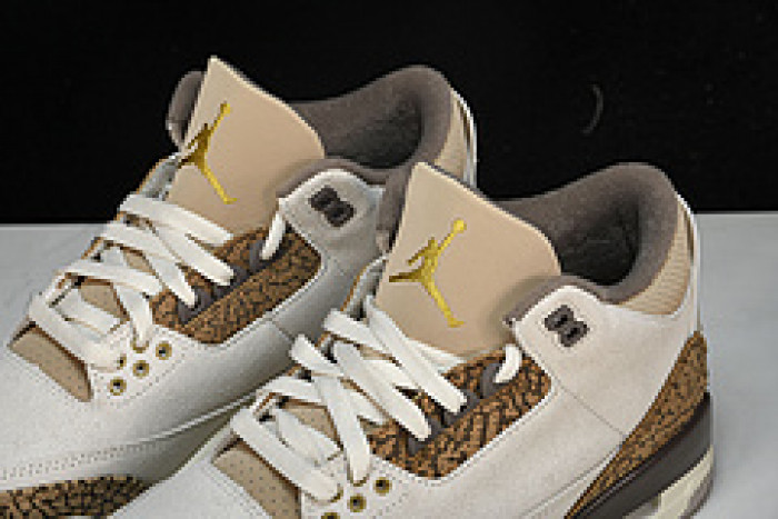 Air Jordan 3 "Palomino" CT8532-102