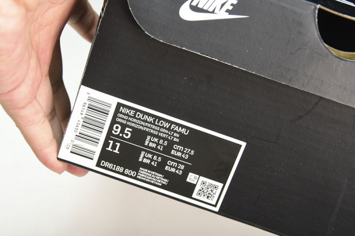 Nike Dunk Low "Famu" DR6188-800