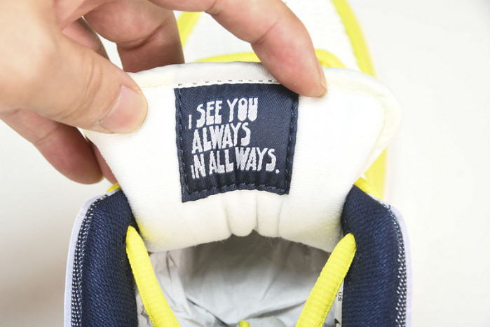 Nike SB Dunk Low “Be True” DX5933-900