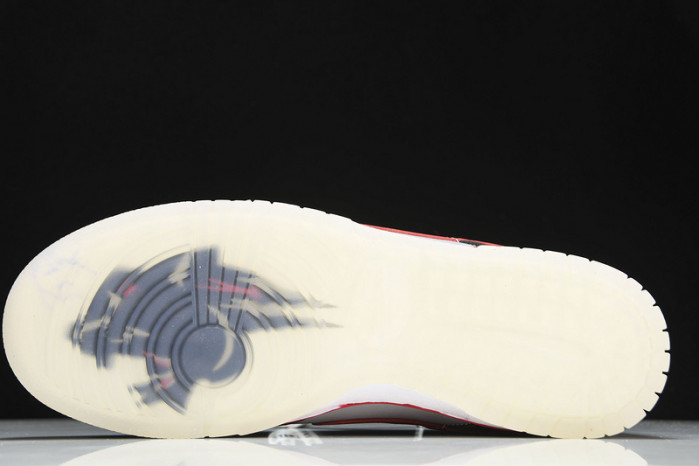 Nike Dunk Low “CAU” DR6189-001