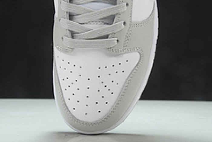Nike Dunk Low Grey Fog DD1391-103