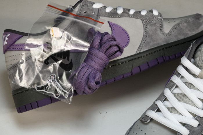 Nike Dunk SB Low Purple Pigeon 304292-051