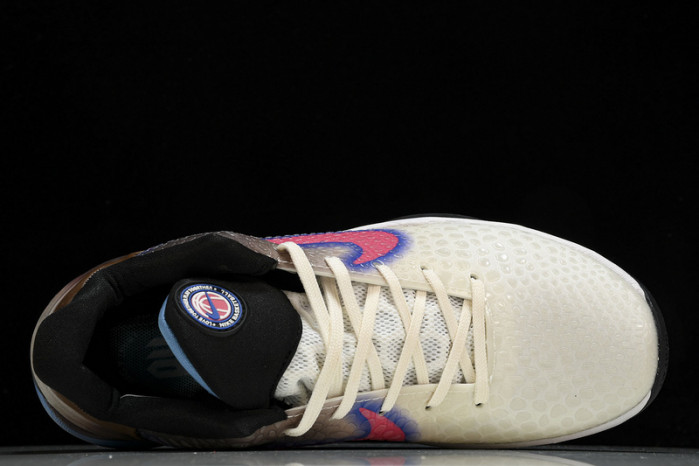 NIKE Kobe VI Protro  CW2190 700