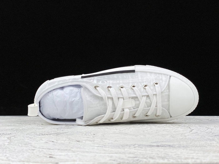 D10R B23  Homme Kaws Low Top Sneaker