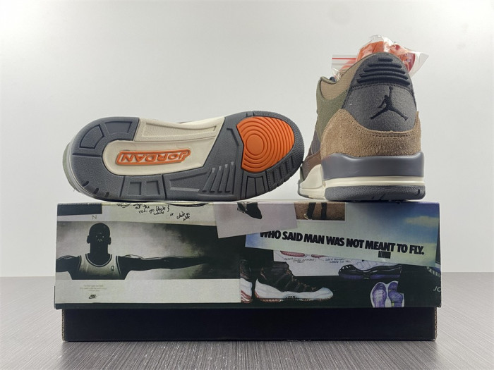 Air Jordan 3 “Camo” DO1830-200