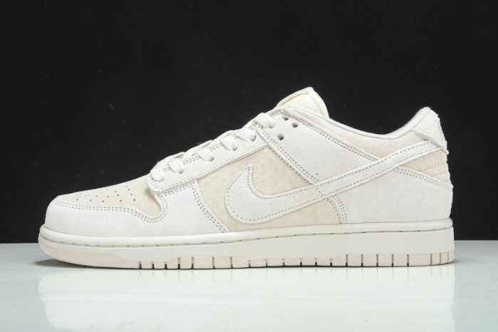 Nike Dunk Low Retro  Prm DD8338-001