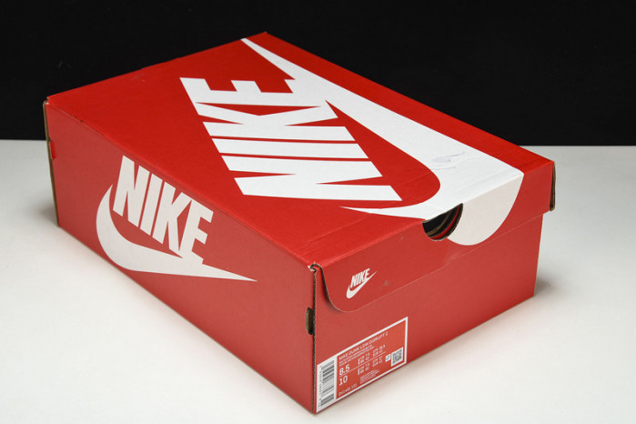 Nike Dunk Low Disrupt 2 "Desert Bronze" DV1491-101