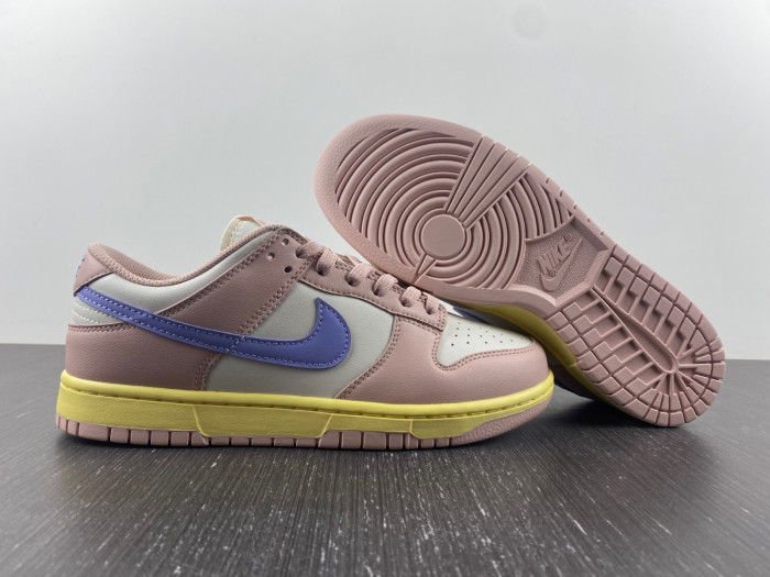 Nike SB Low DD1503-601