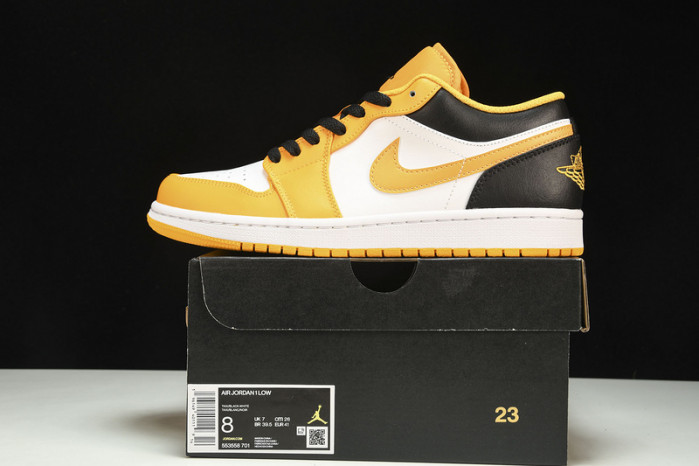 Nike SB Low 553558-701