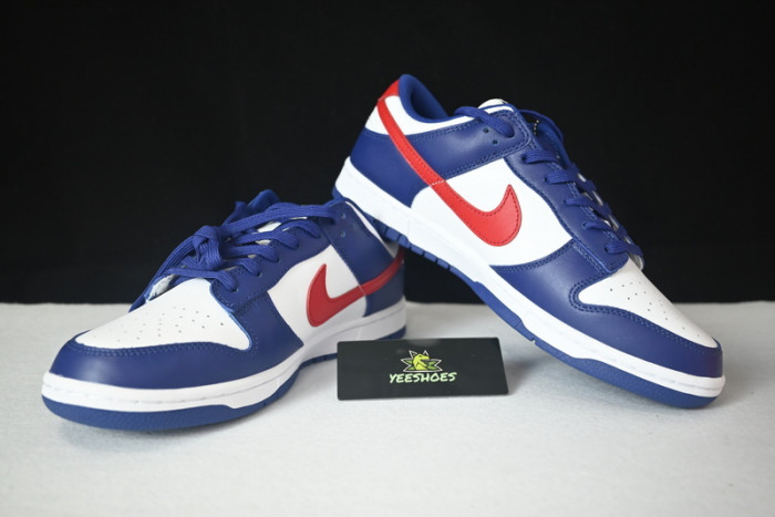 NIKE DUNK LOW DD1503-119