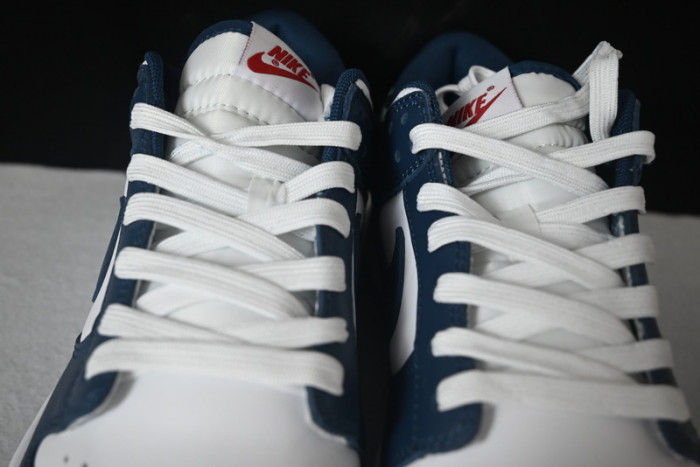 Nike dunk SB Low Retro Valerian Blue DD1391-400