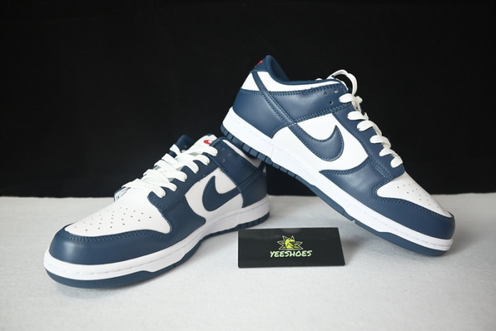 Nike dunk SB Low Retro Valerian Blue DD1391-400