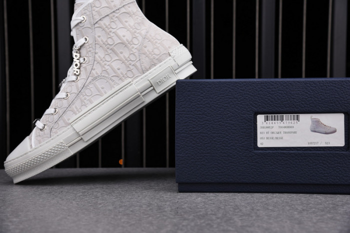 D10R B23 Oblique High Top Sneaker