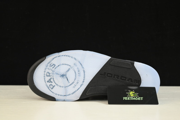 PSG-Air Jordan 5 Low DX6325-204