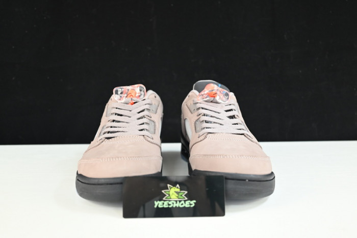 PSG-Air Jordan 5 Low DX6325-204