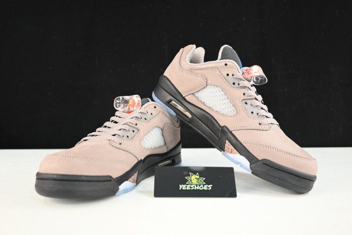 PSG-Air Jordan 5 Low DX6325-204